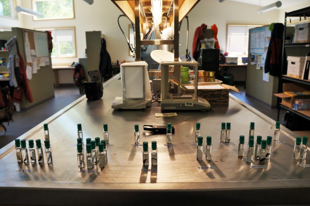 Vials on a lab bench