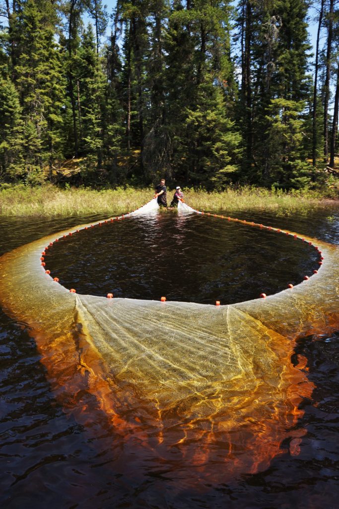 Seine net in a lake