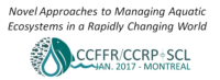 Meeting logo
