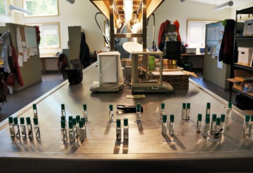 Vials on a lab bench